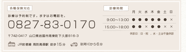 〒742-0417　山口県岩国市周東町下久原816-3